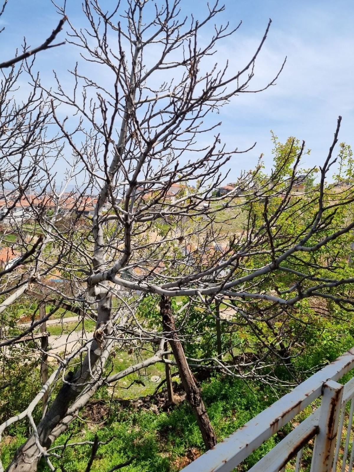 AKTAŞ Emlaktan Şentepede Malatya Manzaralı Satılık Müstakil Ev - Fotoğraf 1