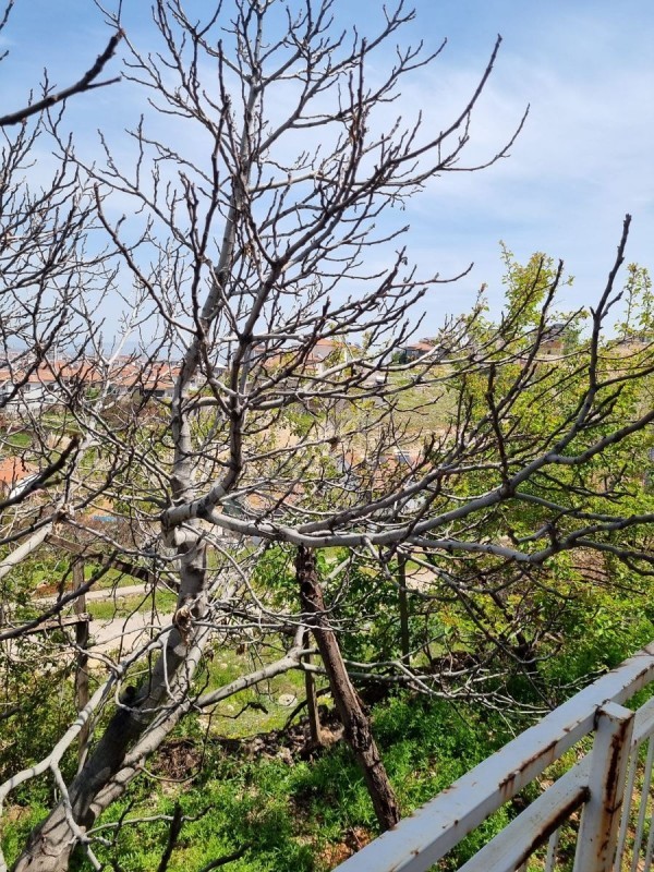 AKTAŞ Emlaktan Şentepede Malatya Manzaralı Satılık Müstakil Ev