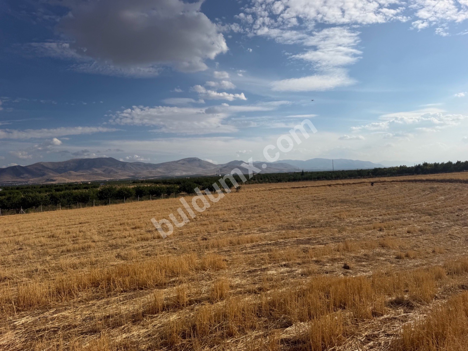 AKÇADAĞ KARANLIKDEREDE SATILIK 7 DÖNÜM MÜSTAKİL TAPULU TARLA - Fotoğraf 8