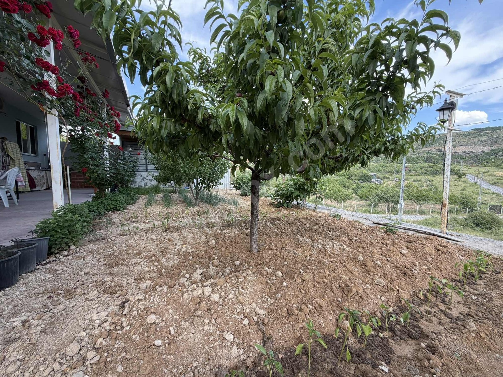 VİP LİNEDEN MULLAKASIMDA 2.167 m2 ARSA İÇİNDE VİLLA - Fotoğraf 1
