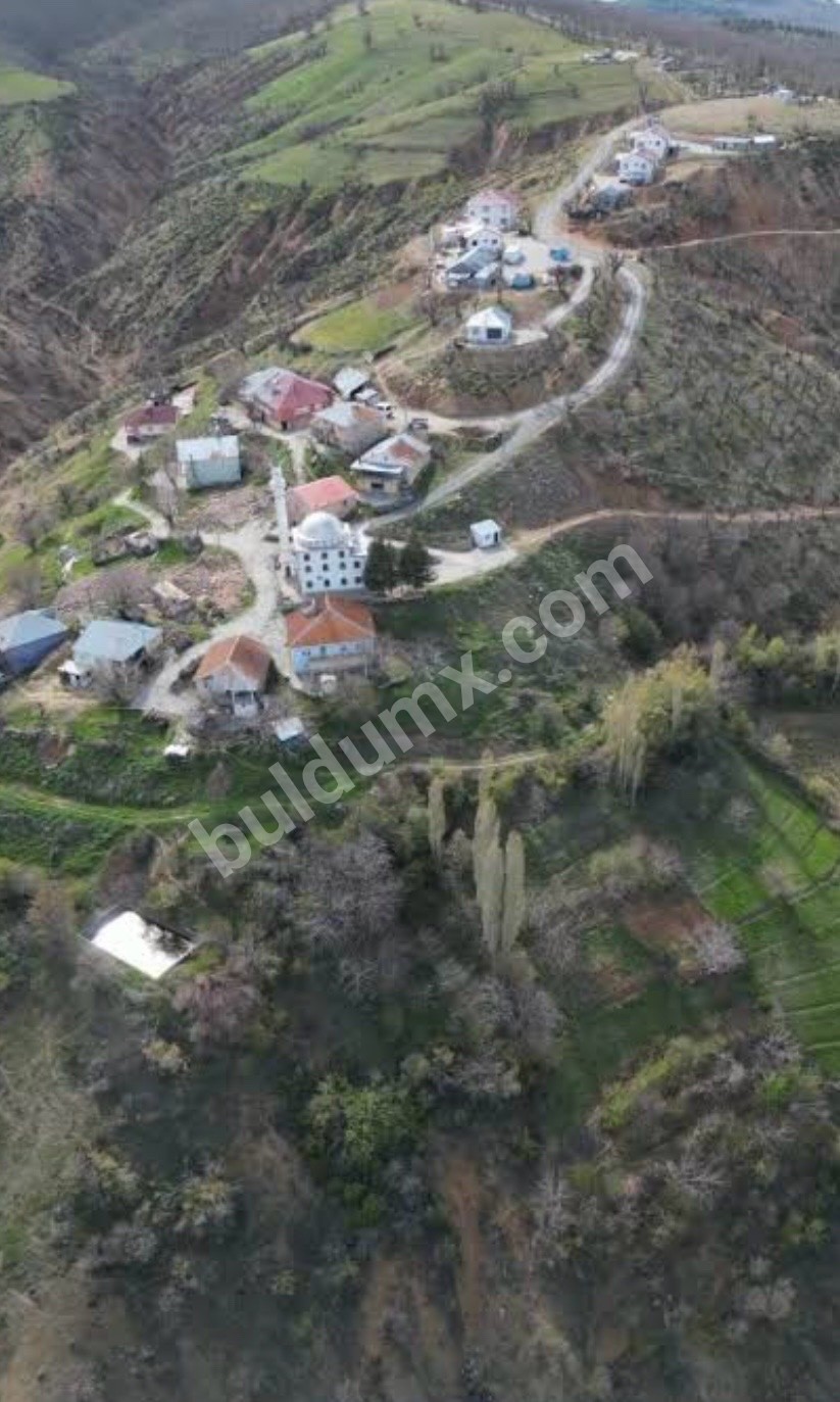 FIRSAT ARSA SİZİNLE - Fotoğraf 8