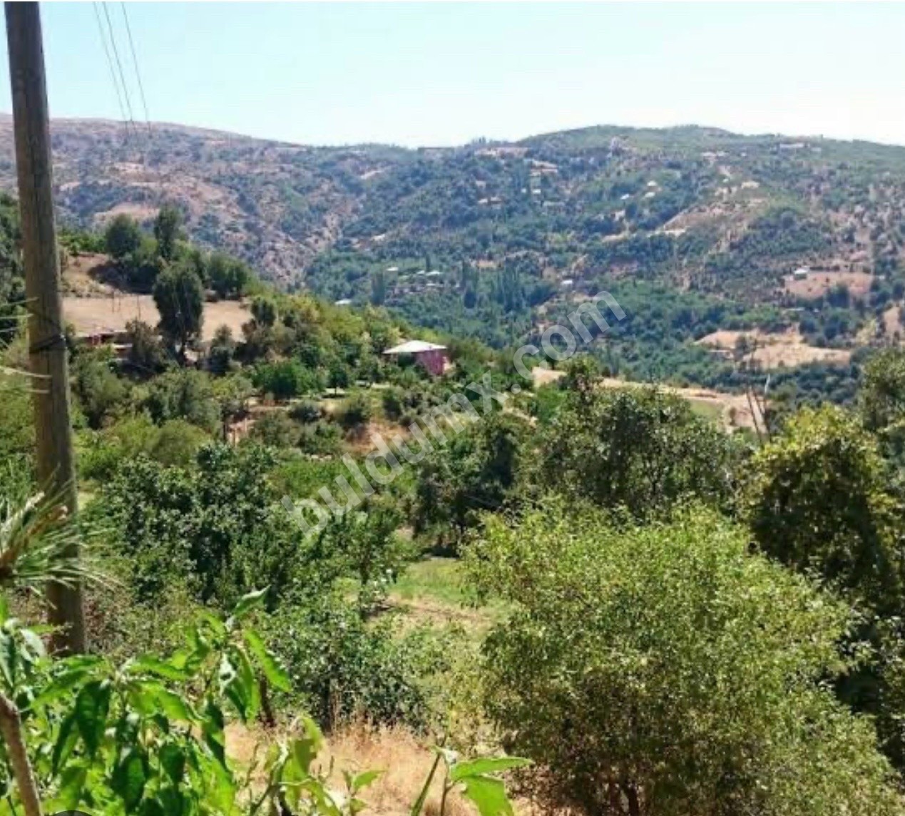FIRSAT ARSA SİZİNLE - Fotoğraf 1