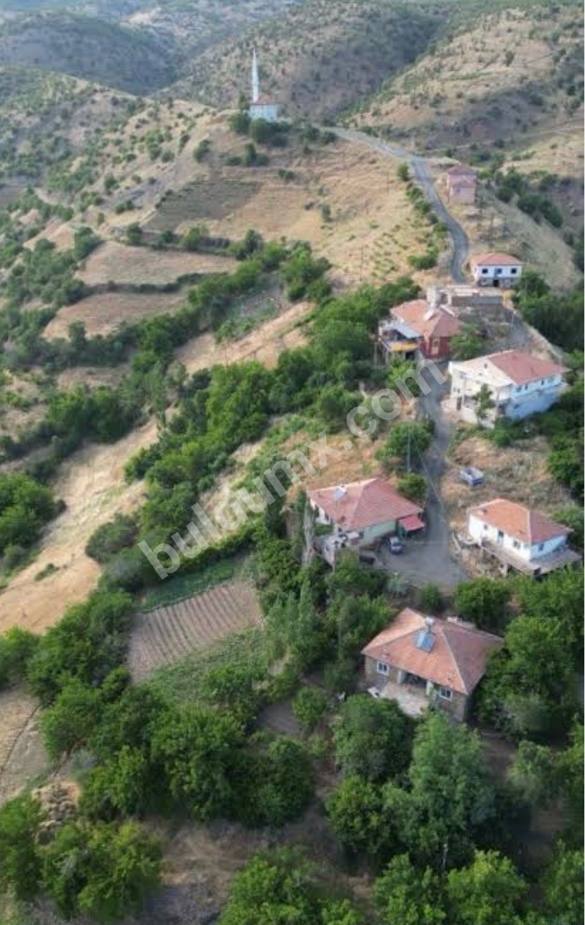 FIRSAT ARSA SİZİNLE - Fotoğraf 9