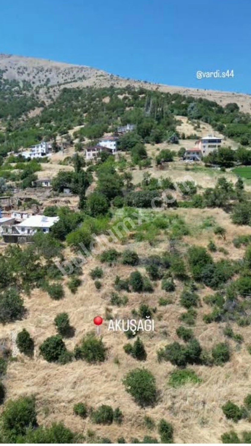 FIRSAT ARSA SİZİNLE - Fotoğraf 11