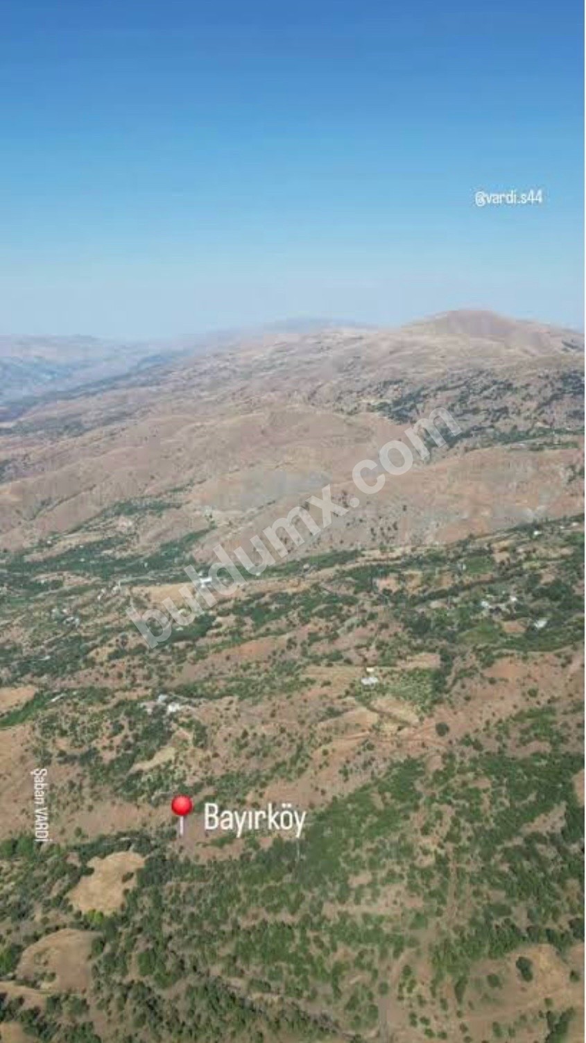 FIRSAT ARSA SİZİNLE - Fotoğraf 12