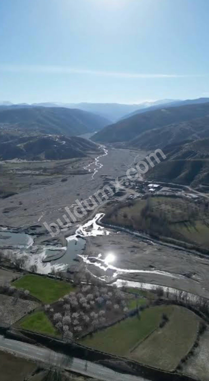 FIRSAT ARSA SİZİNLE - Fotoğraf 2