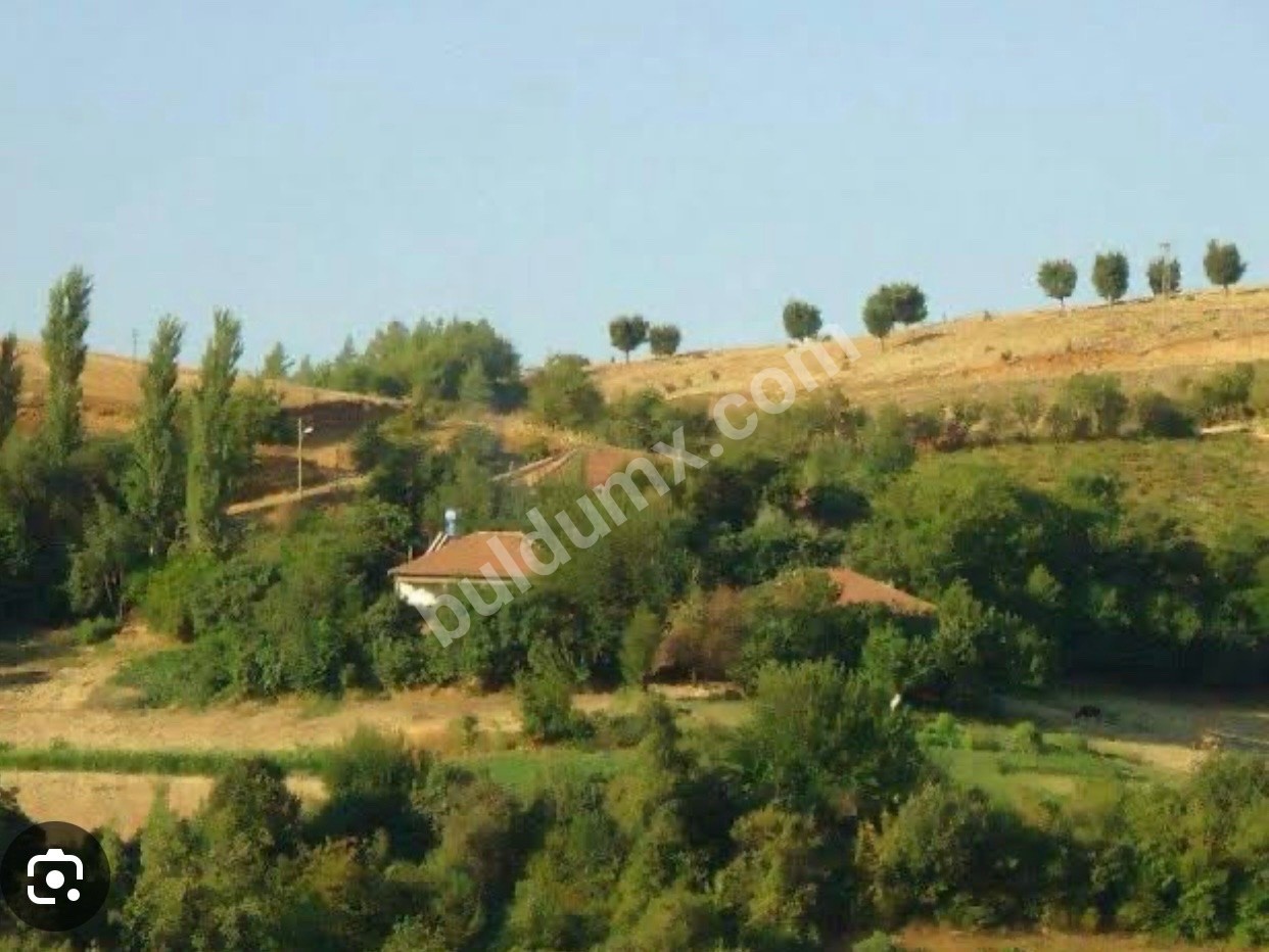 FIRSAT ARSA SİZİNLE - Fotoğraf 10