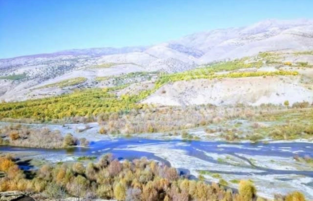 FIRSAT ARSA SİZİNLE - Fotoğraf 7
