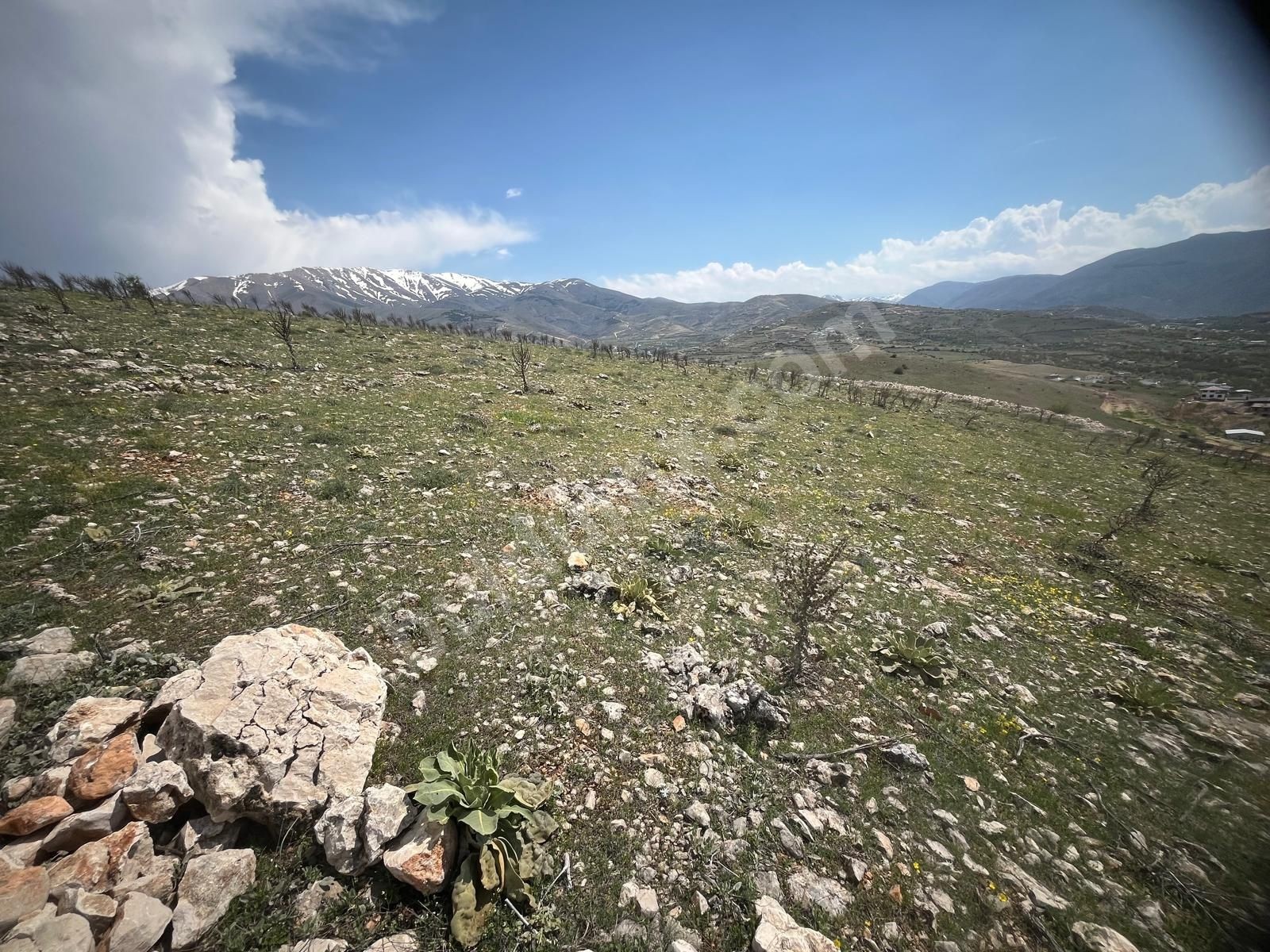 Tecde Manas Villaları Bölgesinde Satılık Villa İmarlı Arsa - Fotoğraf 8