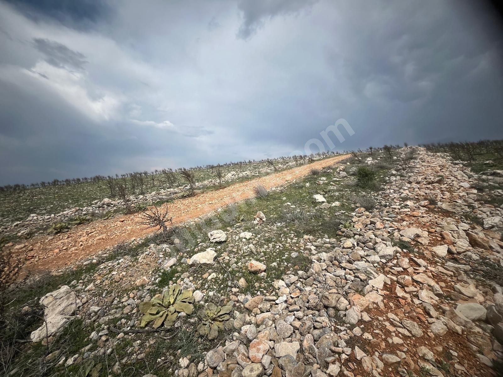 Tecde Manas Villaları Bölgesinde Satılık Villa İmarlı Arsa - Fotoğraf 2