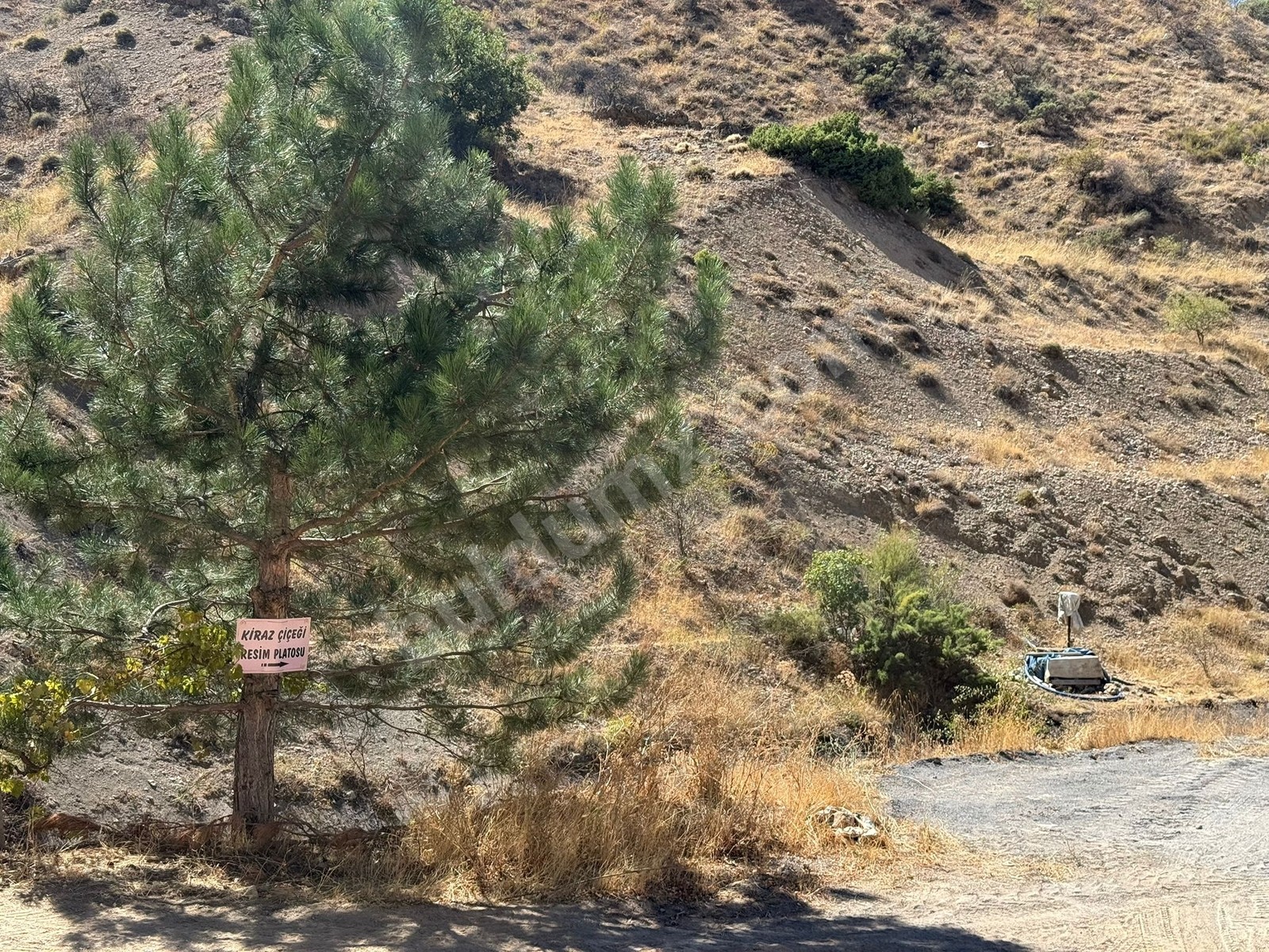 Hıroğlunda Satılık 3.5 Dönüm Arsa - Fotoğraf 9