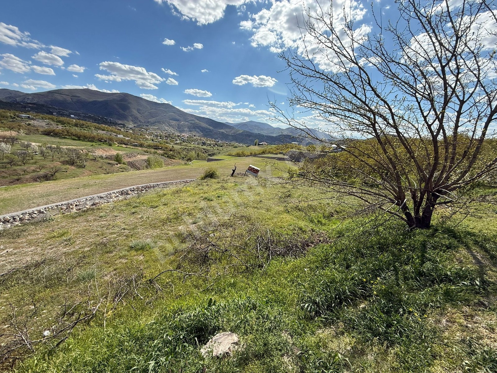 Gedikte İmar Sınırında ACİL Satılık 2459 m² Üzüm Bağı - Fotoğraf 7