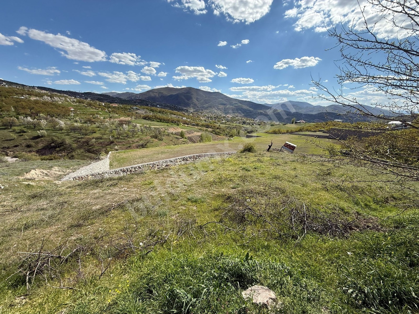 Gedikte İmar Sınırında ACİL Satılık 2459 m² Üzüm Bağı - Fotoğraf 2
