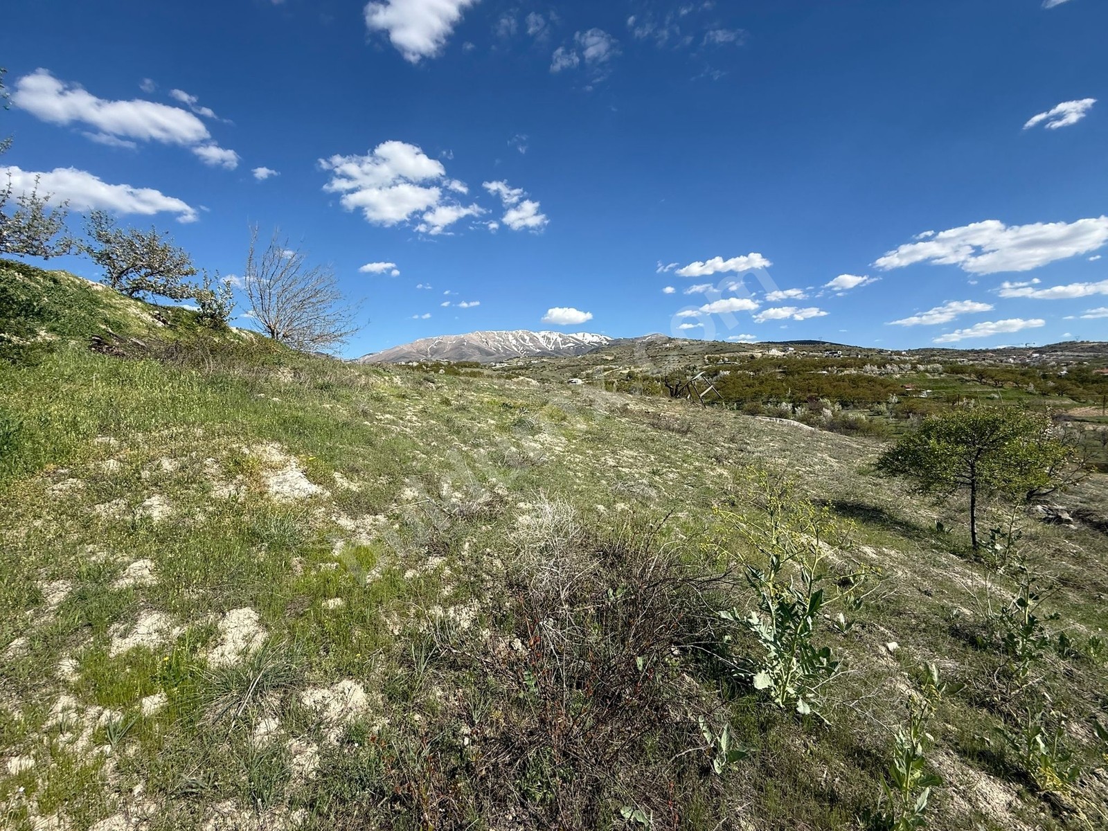 Gedikte İmar Sınırında ACİL Satılık 2459 m² Üzüm Bağı - Fotoğraf 8