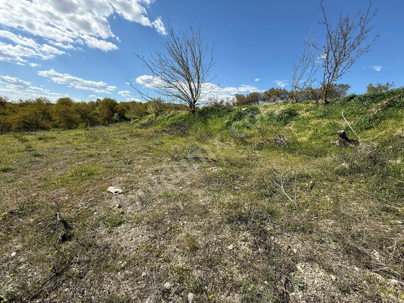 Gedikte İmar Sınırında ACİL Satılık 2459 m² Üzüm Bağı - Fotoğraf 6