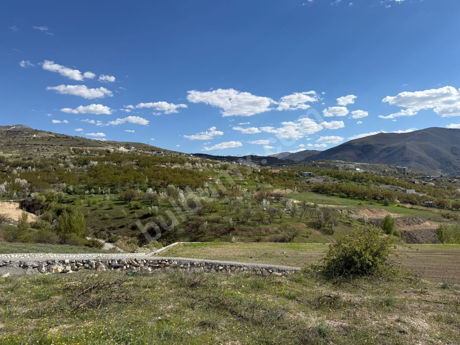 Gedikte İmar Sınırında ACİL Satılık 2459 m² Üzüm Bağı - Fotoğraf 5