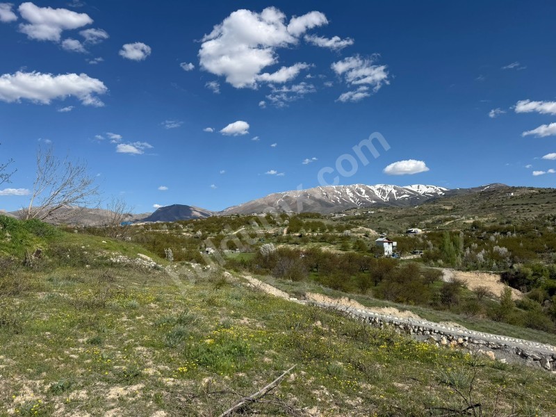 Gedikte İmar Sınırında ACİL Satılık 2459 m² Üzüm Bağı