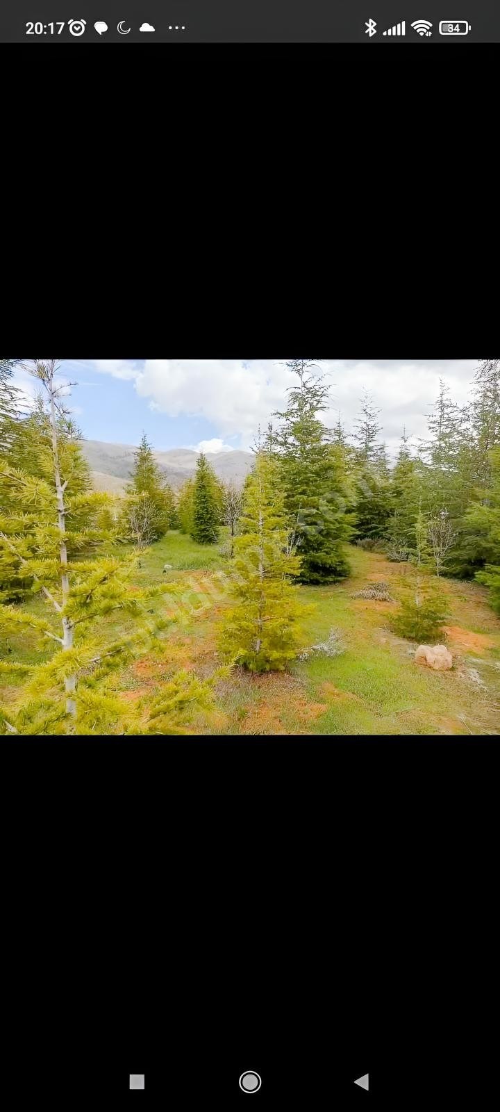 MİS GİBİ HAVA TEMİZ SU VE HUZURRR - Fotoğraf 2