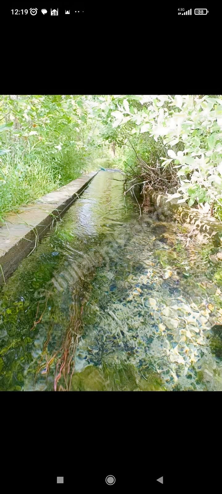 MİS GİBİ HAVA TEMİZ SU VE HUZURRR - Fotoğraf 4