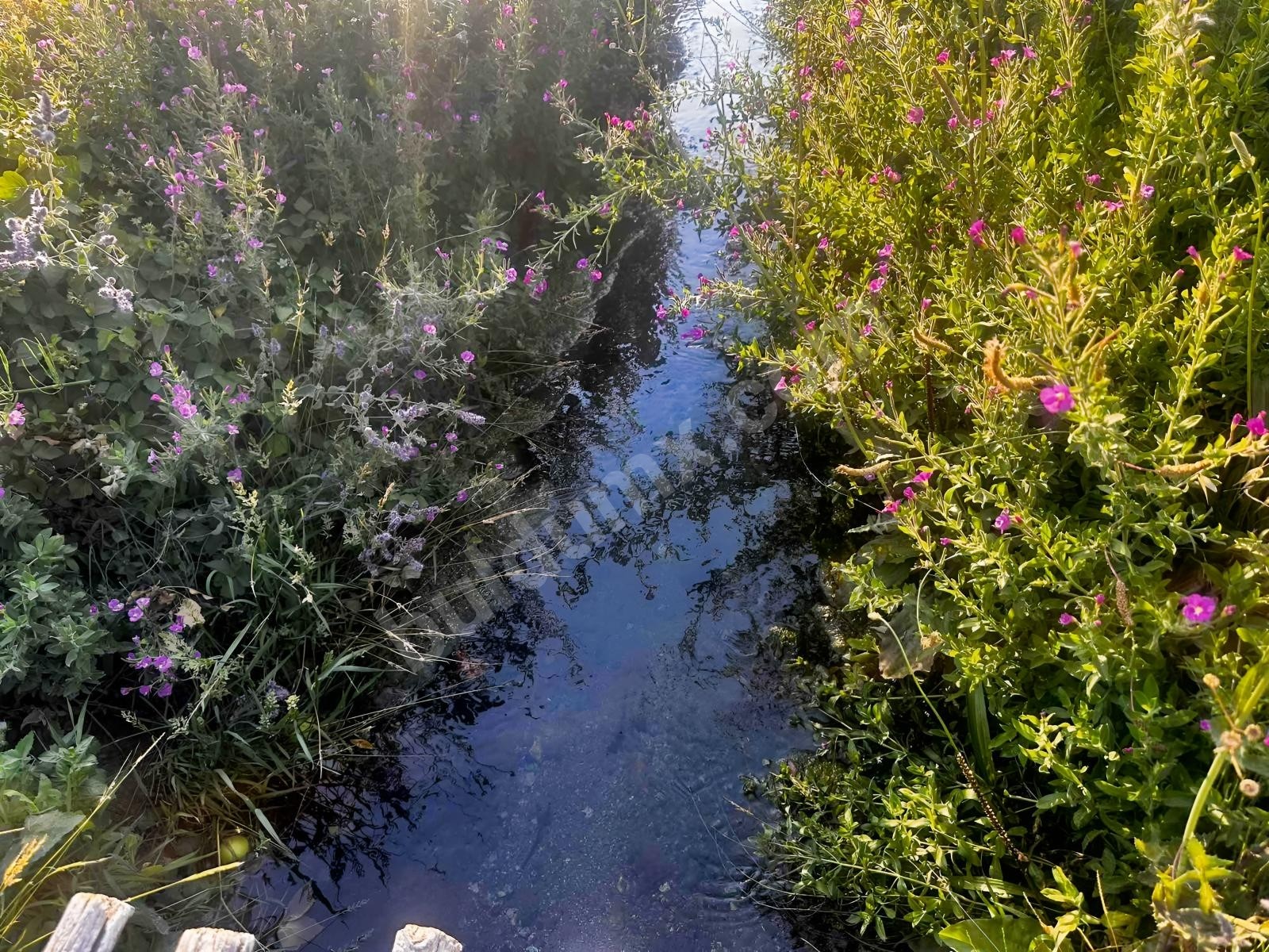BU BÖLGEDE TEK ...KAÇIRMAYIN - Fotoğraf 8