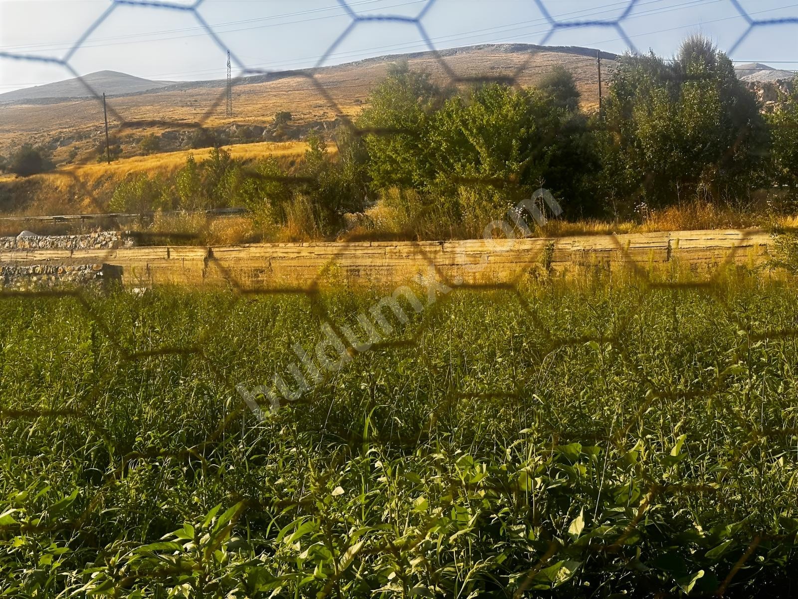 BU BÖLGEDE TEK ...KAÇIRMAYIN - Fotoğraf 6
