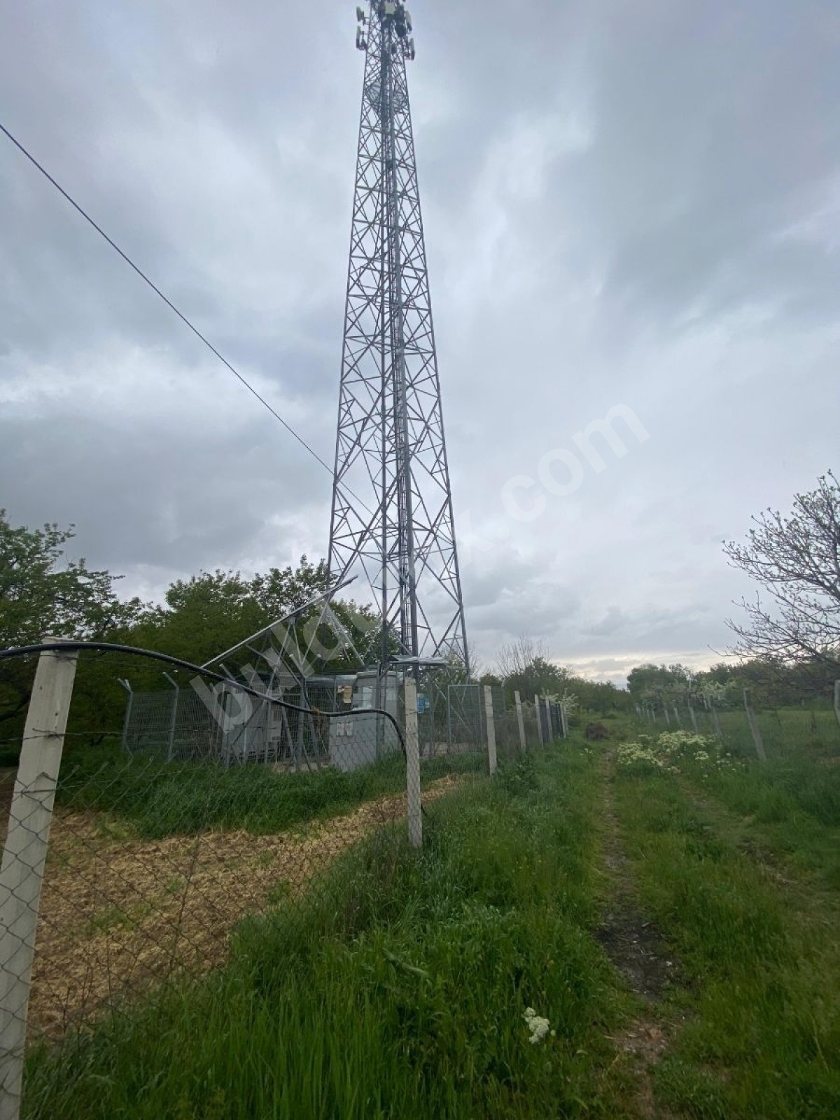 BAHÇE BAŞINDA ACİL SATILIK 11.245 M2 BAHÇE - Fotoğraf 4