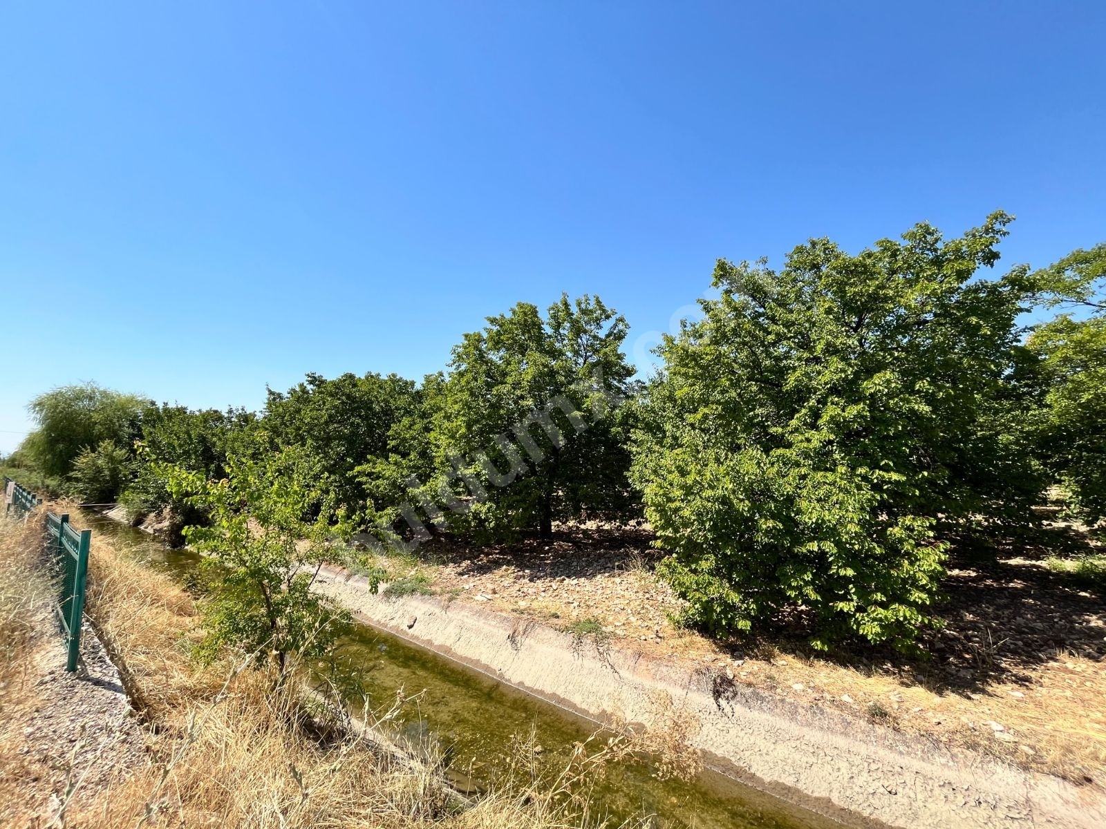 HAVAALANINA 1 KM | 1.516 m² MÜSTAKİL TAPULU | EV YAPIMINA MÜSAİT - Fotoğraf 4