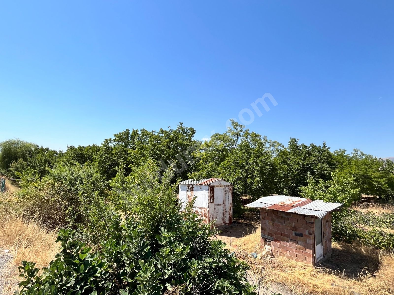 HAVAALANINA 1 KM | 1.516 m² MÜSTAKİL TAPULU | EV YAPIMINA MÜSAİT - Fotoğraf 6
