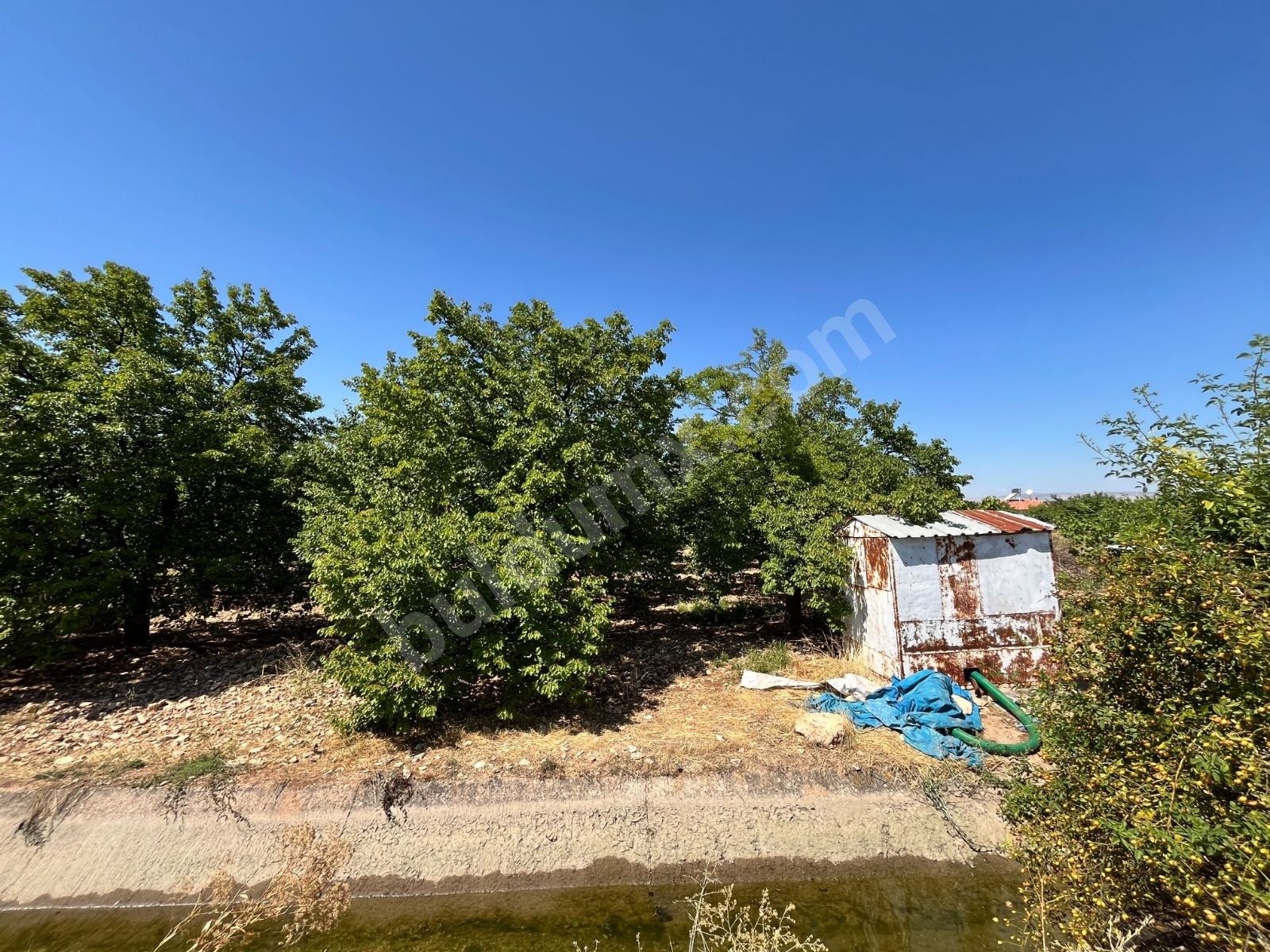 HAVAALANINA 1 KM | 1.516 m² MÜSTAKİL TAPULU | EV YAPIMINA MÜSAİT - Fotoğraf 7