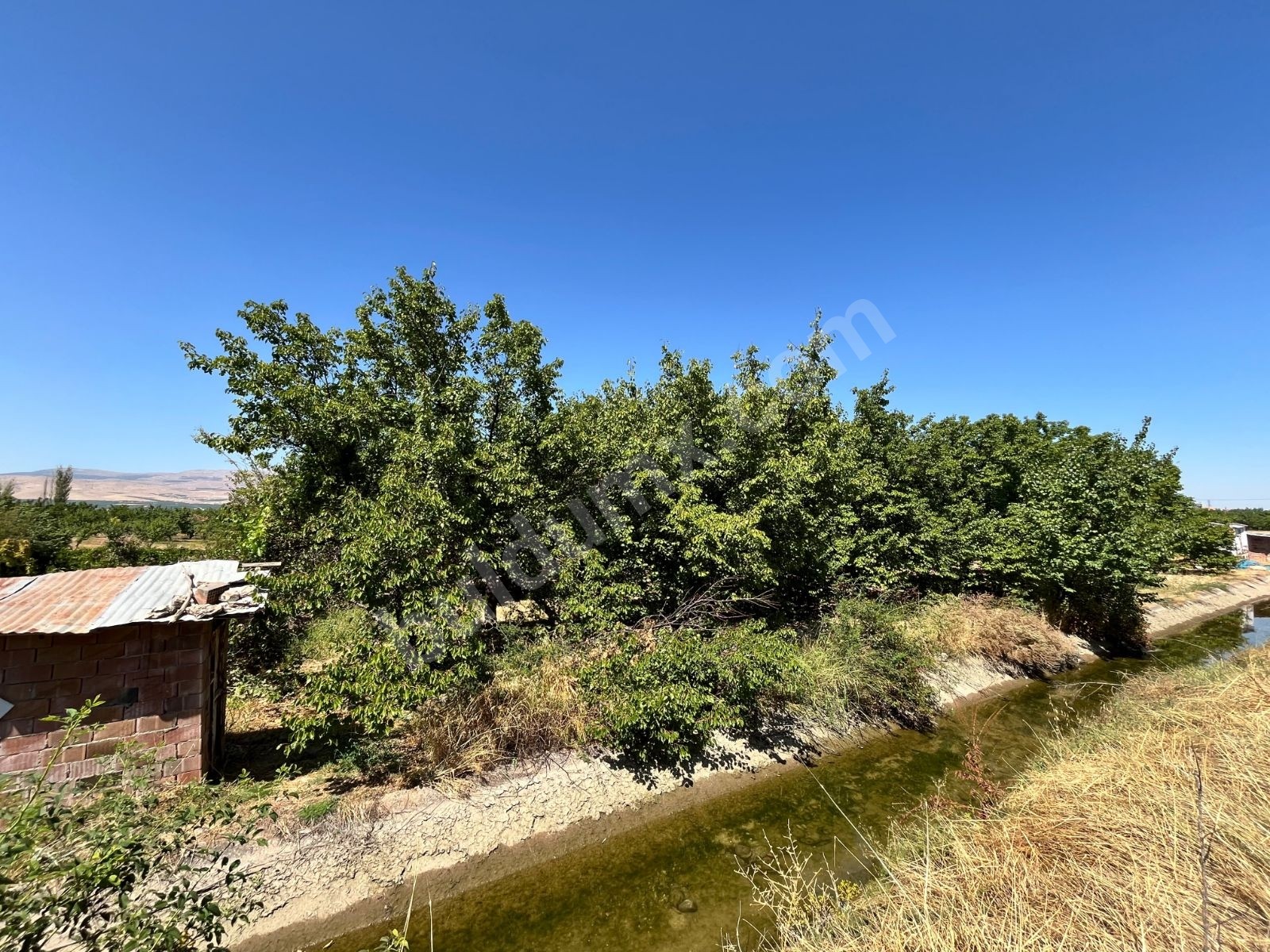 HAVAALANINA 1 KM | 1.516 m² MÜSTAKİL TAPULU | EV YAPIMINA MÜSAİT - Fotoğraf 5