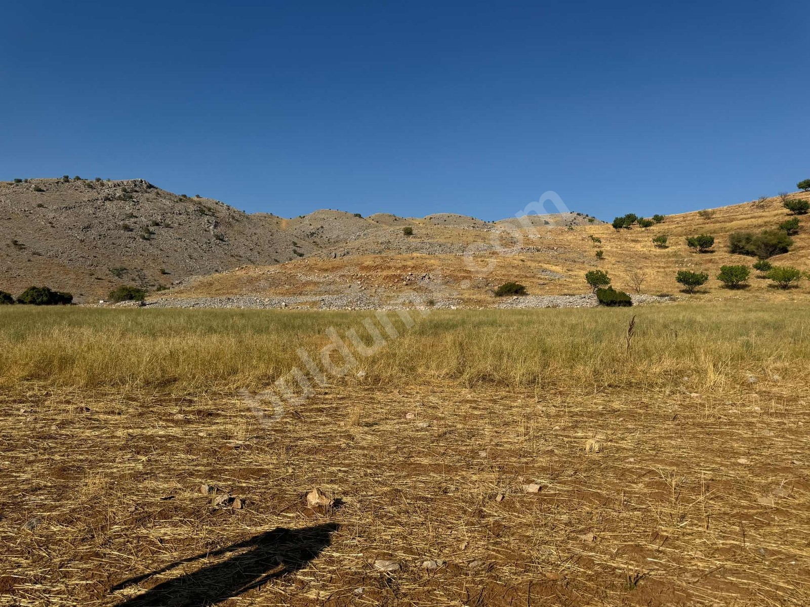 ERKENEK GEDİKAĞZI BÖLGESİNDE SATILIK 14.829m2 SULU TARLA - Fotoğraf 11