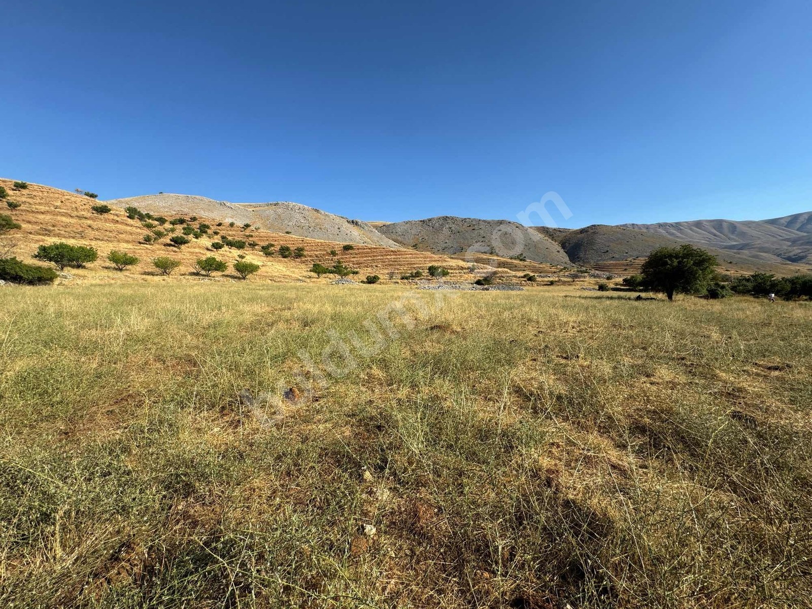 ERKENEK GEDİKAĞZI BÖLGESİNDE SATILIK 14.829m2 SULU TARLA - Fotoğraf 10