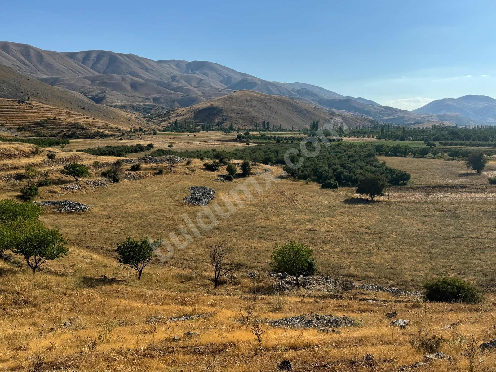 ERKENEK GEDİKAĞZI BÖLGESİNDE SATILIK 14.829m2 SULU TARLA - Fotoğraf 2