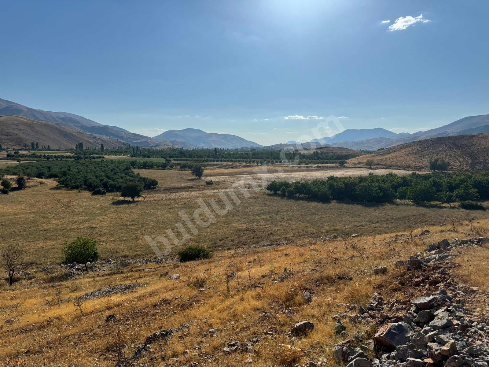 ERKENEK GEDİKAĞZI BÖLGESİNDE SATILIK 14.829m2 SULU TARLA - Fotoğraf 3