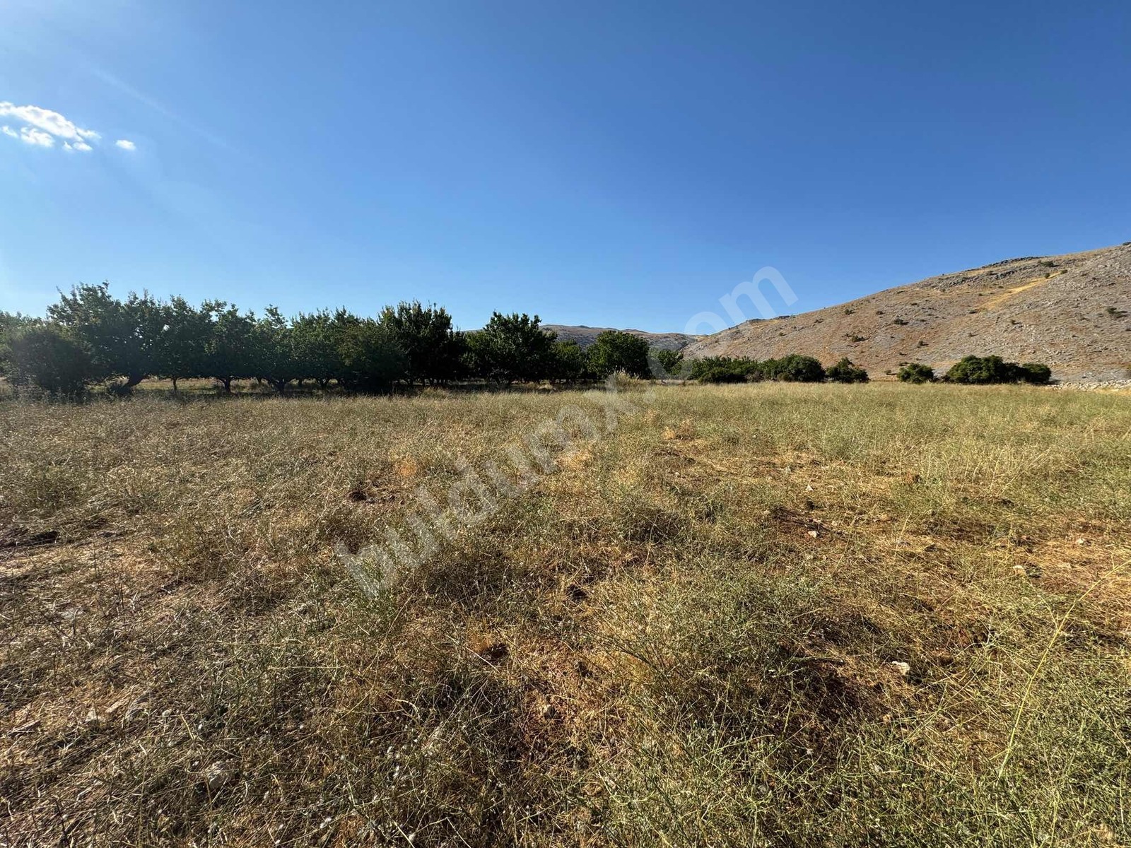ERKENEK GEDİKAĞZI BÖLGESİNDE SATILIK 14.829m2 SULU TARLA - Fotoğraf 9