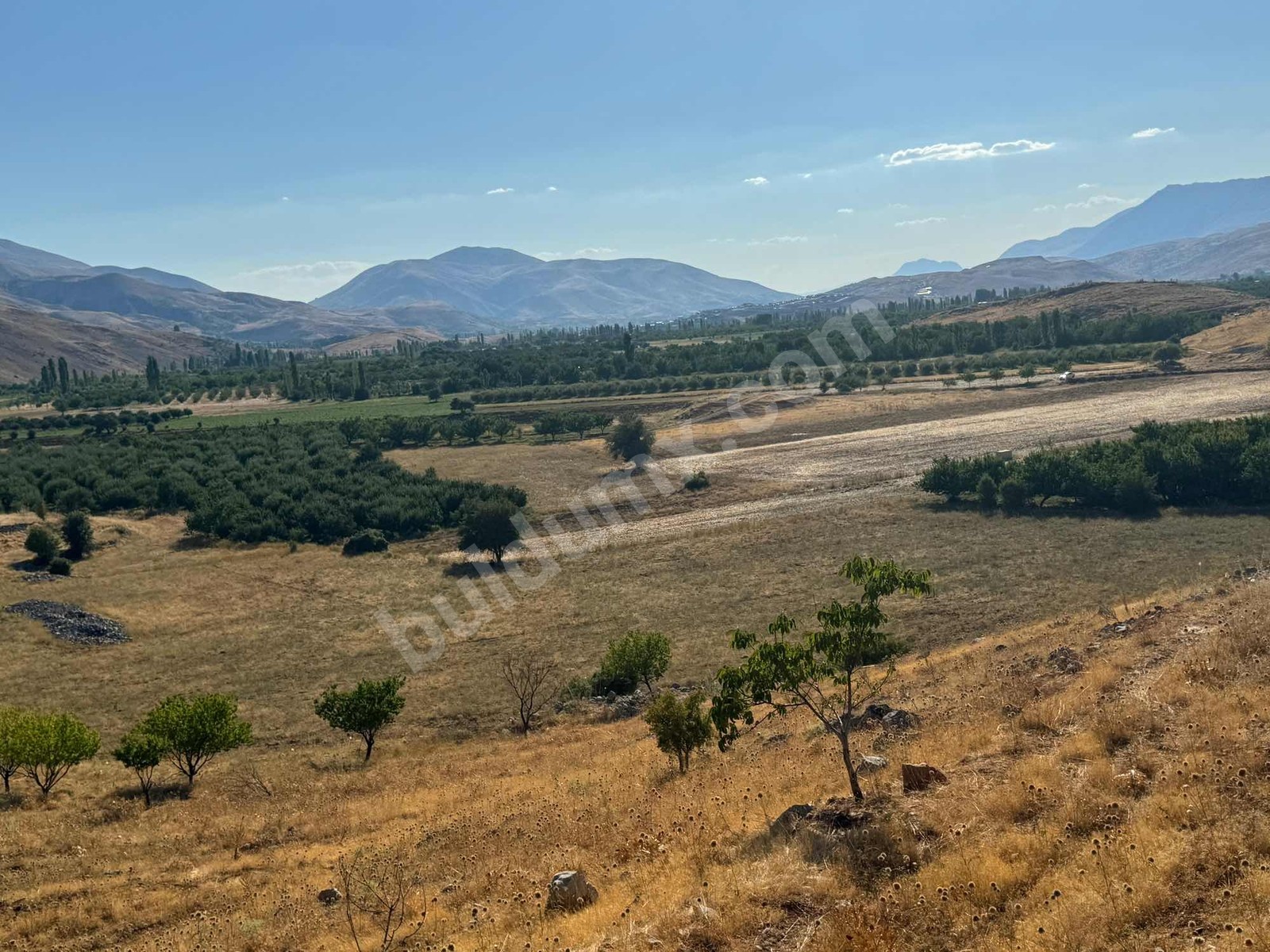ERKENEK GEDİKAĞZI BÖLGESİNDE SATILIK 14.829m2 SULU TARLA - Fotoğraf 12