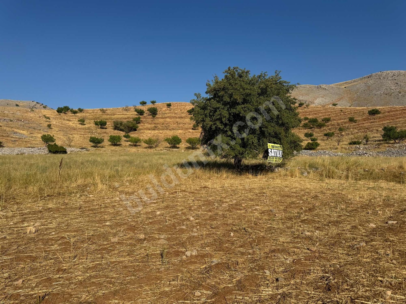 ERKENEK GEDİKAĞZI BÖLGESİNDE SATILIK 14.829m2 SULU TARLA - Fotoğraf 7
