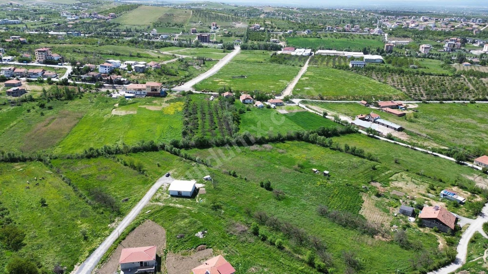 BEREKET'TEN ORDUZUDA 1060m² SATILIK MUHTEŞEM ARSA ACİLLL!! - Fotoğraf 9