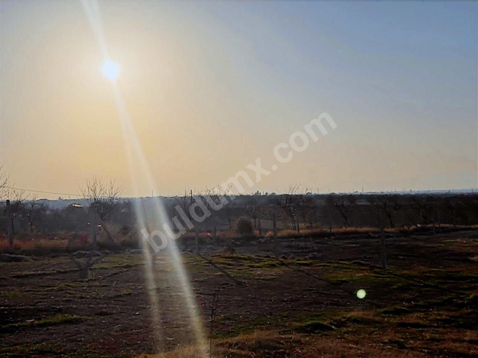 BEREKET'TEN E. MALATYADA SATILIK 400M2 TARIM BAHÇELERİ - Fotoğraf 4