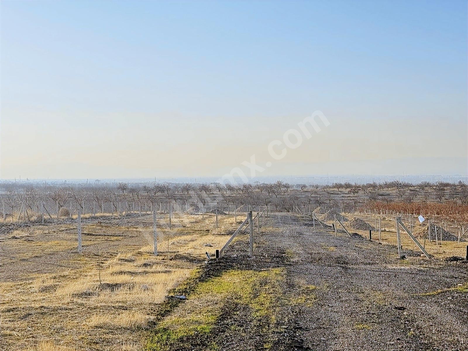 BEREKET'TEN E. MALATYADA SATILIK 400M2 TARIM BAHÇELERİ - Fotoğraf 5