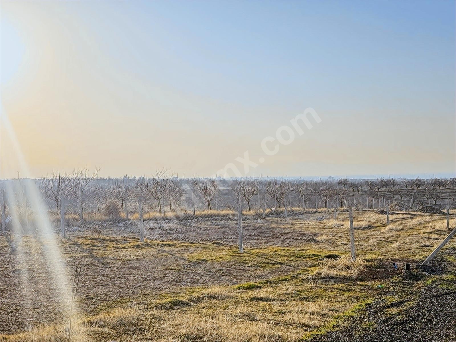 BEREKET'TEN E. MALATYADA SATILIK 400M2 TARIM BAHÇELERİ - Fotoğraf 6