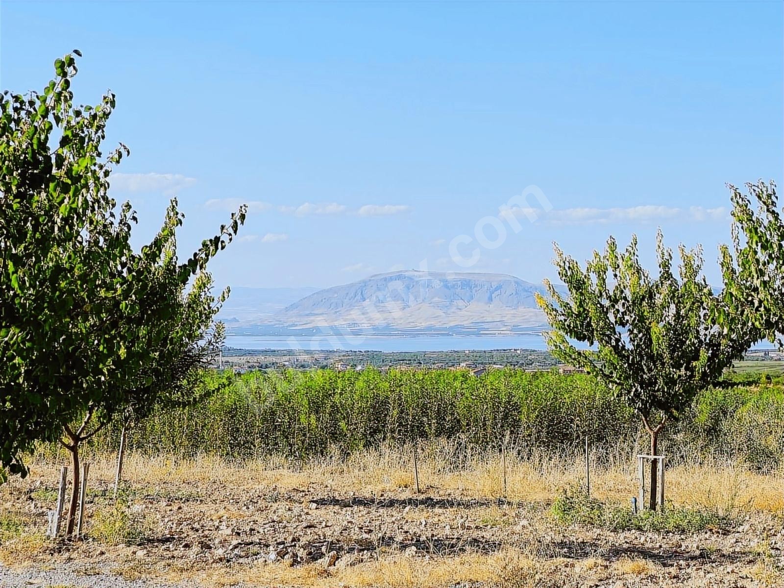 BEREKET'TEN E. MALATYADA SATILIK 400M2 TARIM BAHÇELERİ - Fotoğraf 9