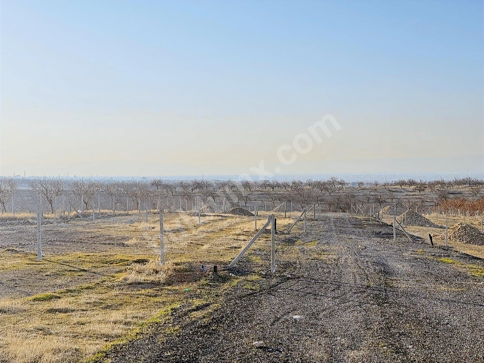 BEREKET'TEN E. MALATYADA SATILIK 400M2 TARIM BAHÇELERİ - Fotoğraf 10