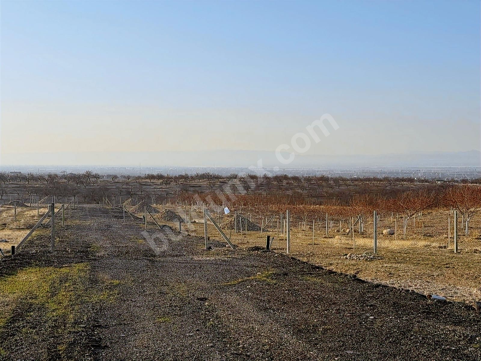 BEREKET'TEN E. MALATYADA SATILIK 400M2 TARIM BAHÇELERİ - Fotoğraf 3