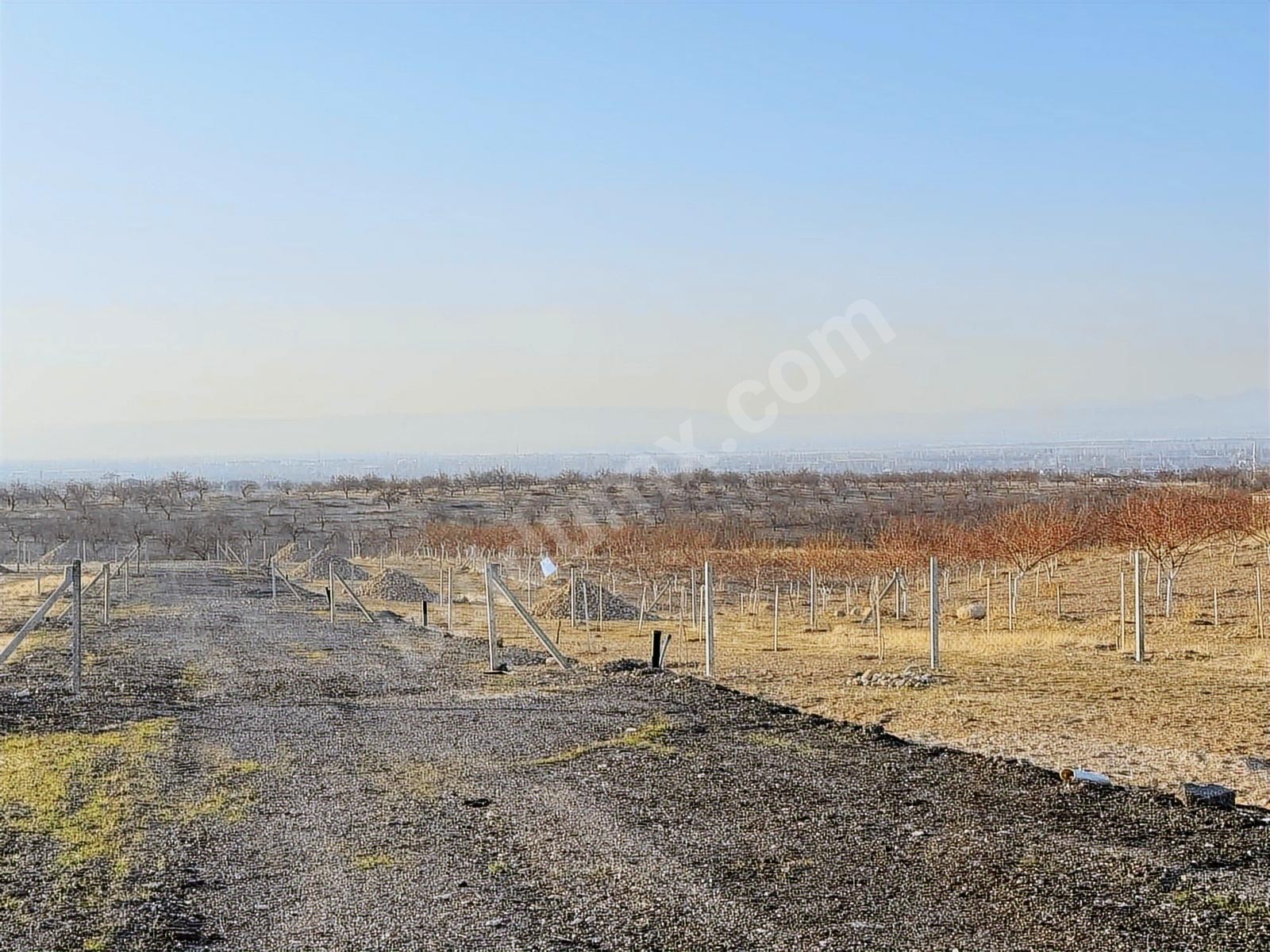 BEREKET'TEN E. MALATYADA SATILIK 400M2 TARIM BAHÇELERİ - Fotoğraf 7