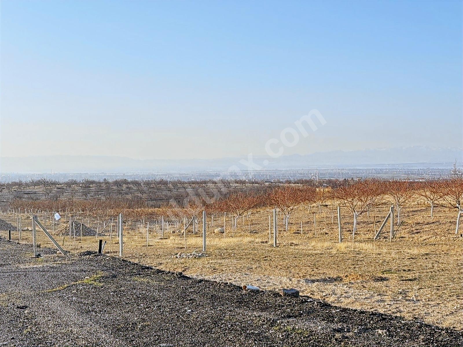BEREKET'TEN E. MALATYADA SATILIK 400M2 TARIM BAHÇELERİ - Fotoğraf 11