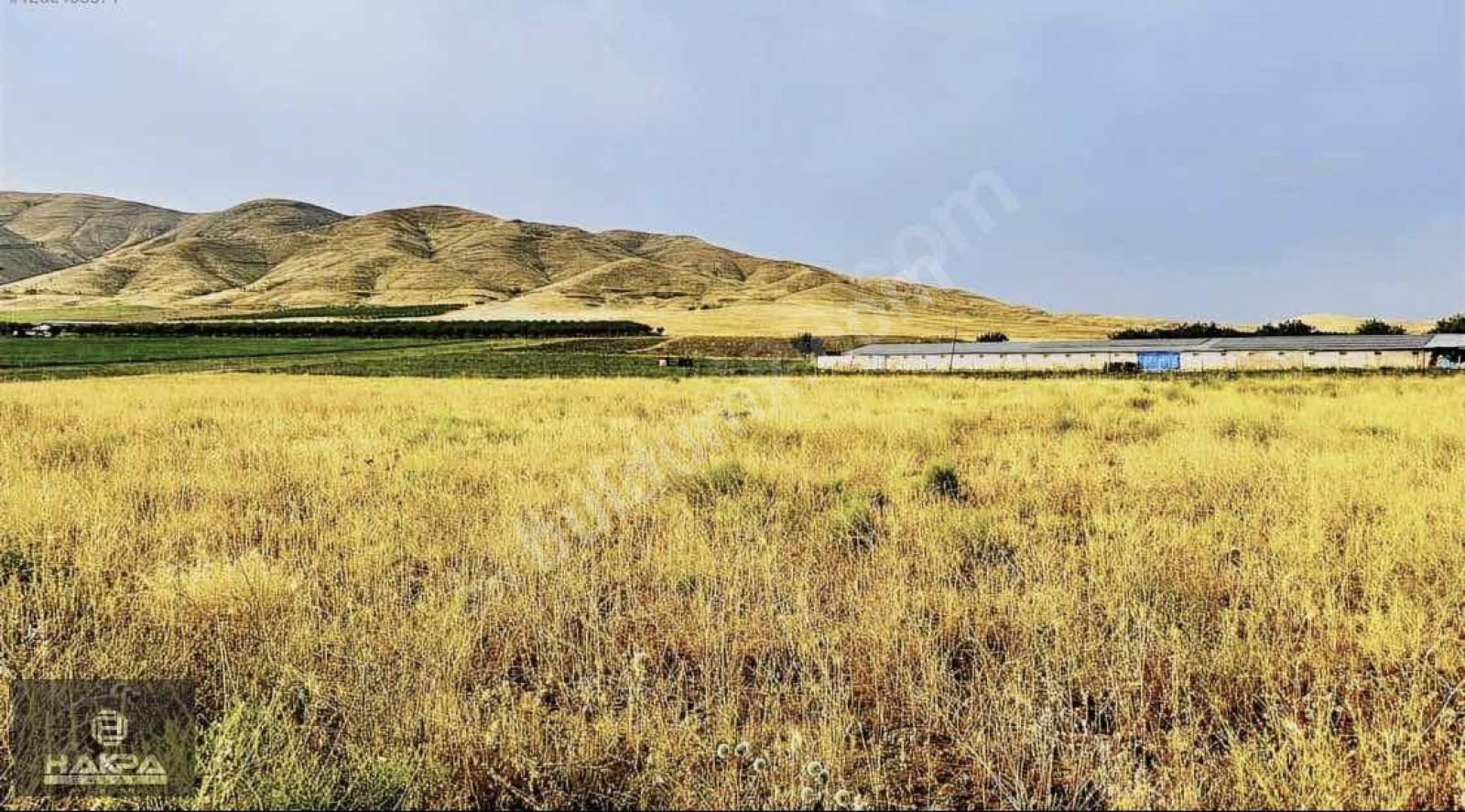 BATTALGAZİ ŞİŞMANDA 9.000M2 SULU YOLU AÇIK SATILIK HAVADAR TARLA - Fotoğraf 5