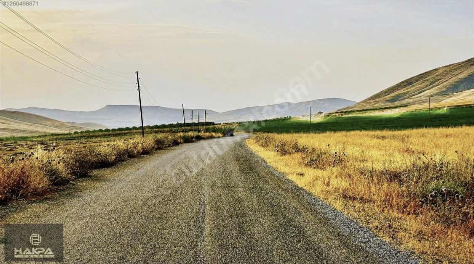 BATTALGAZİ ŞİŞMANDA 9.000M2 SULU YOLU AÇIK SATILIK HAVADAR TARLA - Fotoğraf 1