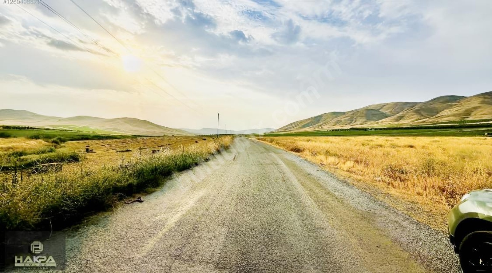 BATTALGAZİ ŞİŞMANDA 9.000M2 SULU YOLU AÇIK SATILIK HAVADAR TARLA - Fotoğraf 4