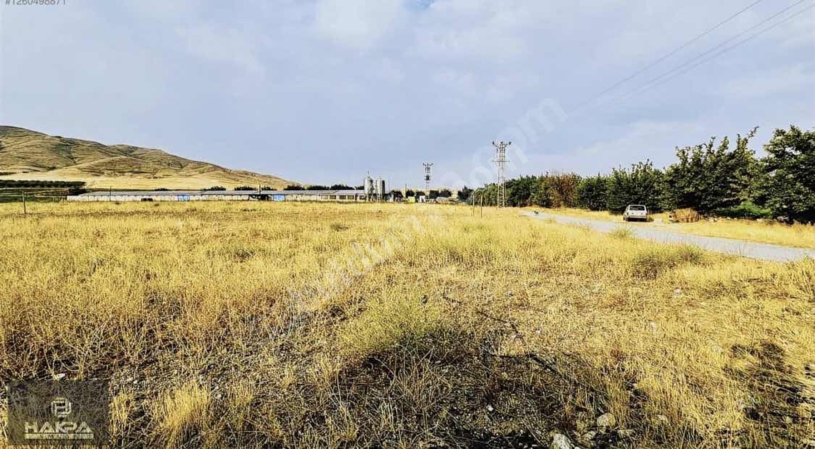 BATTALGAZİ ŞİŞMANDA 9.000M2 SULU YOLU AÇIK SATILIK HAVADAR TARLA - Fotoğraf 3